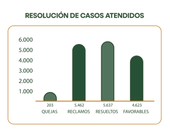 resolución-de-casos-atendidos-16